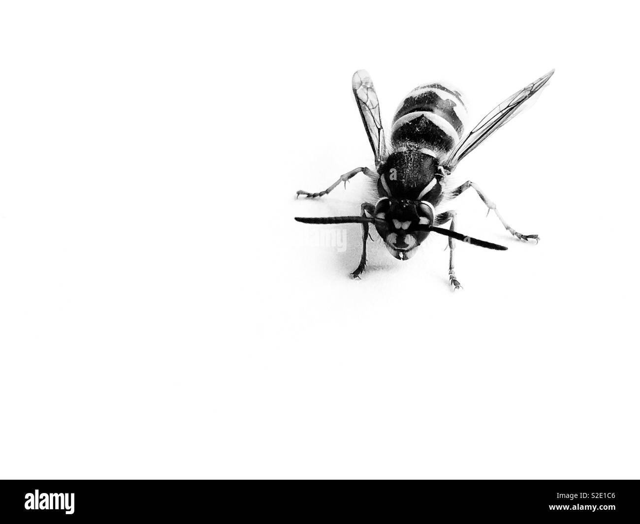 Vespa in bianco e nero immagini e fotografie stock ad alta risoluzione -  Alamy