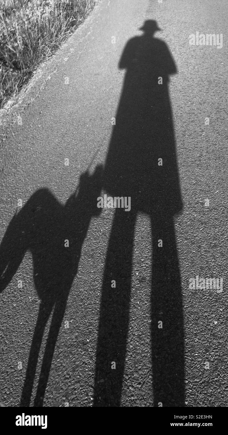 Le ombre distorte di una donna e il suo cane sulla strada in basso sun. In bianco e nero. Foto Stock