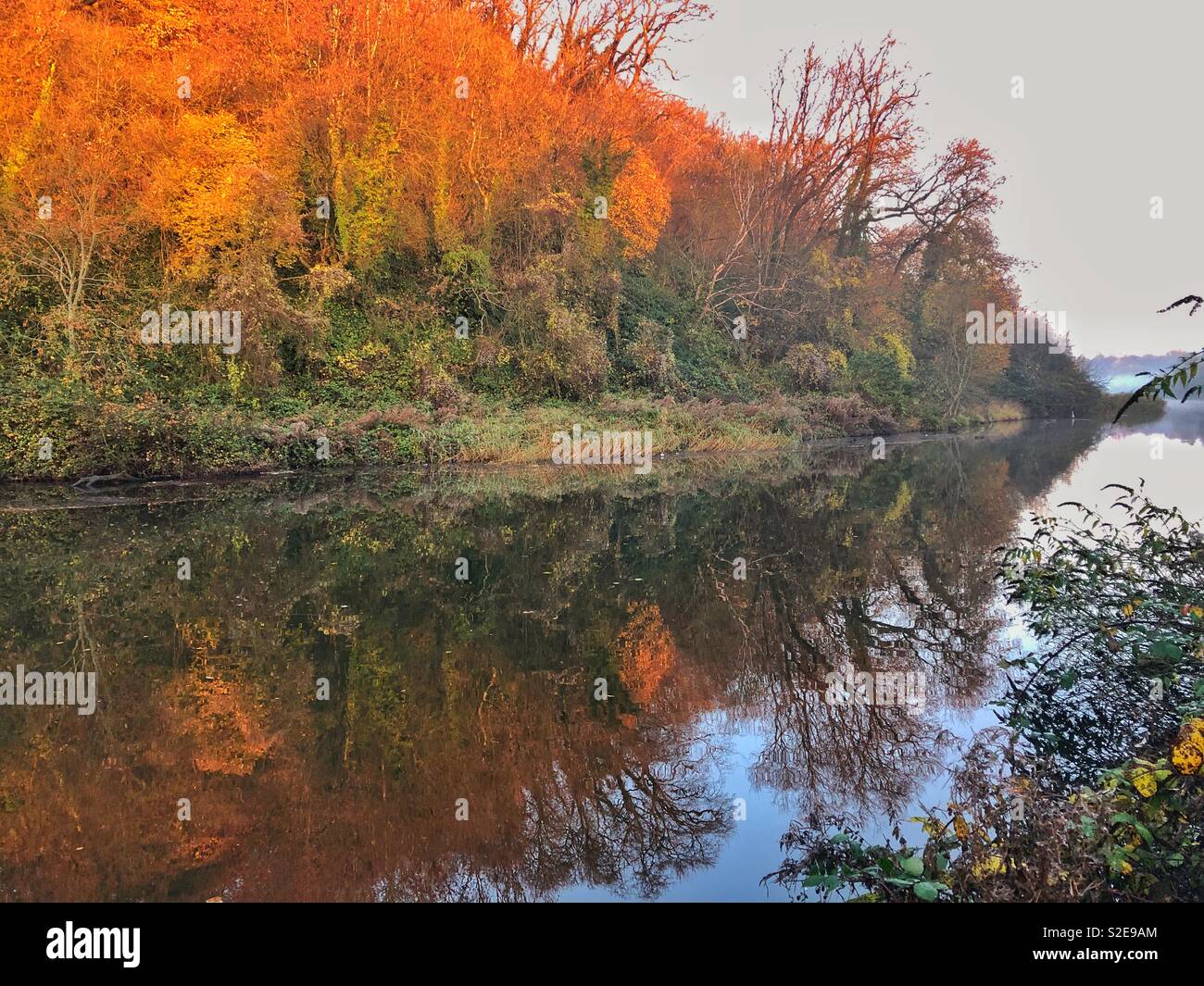 Autunno mattina sul fiume Ely vicino a Cardiff, nel Galles del Sud. Foto Stock