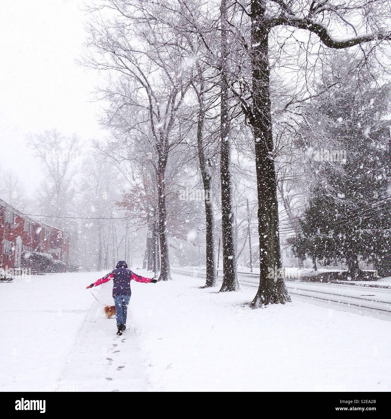 Donna cane a camminare nella neve, scena invernale, nevicava Foto Stock