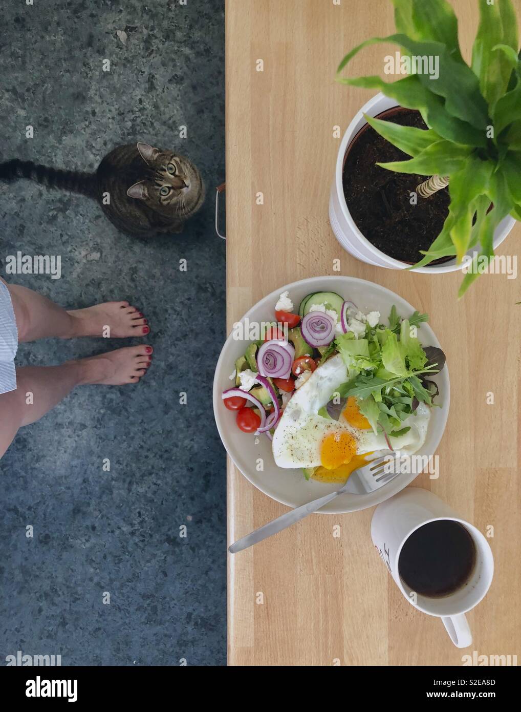 Mattina di routine - prima colazione e migliori amici company Foto Stock