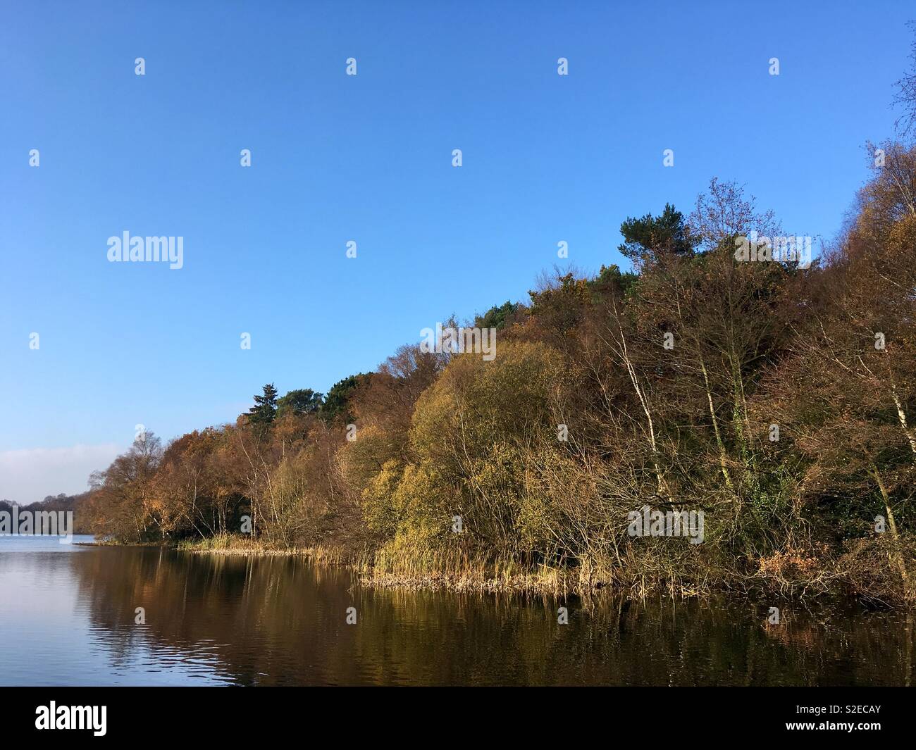 In autunno la calma, in 'uno dei luoghi più belli in tutta l'Inghilterra.' Bracebridge piscina, Sutton Park, la Città Reale di Sutton Coldfield. - Immagine stock catturata con smartphone