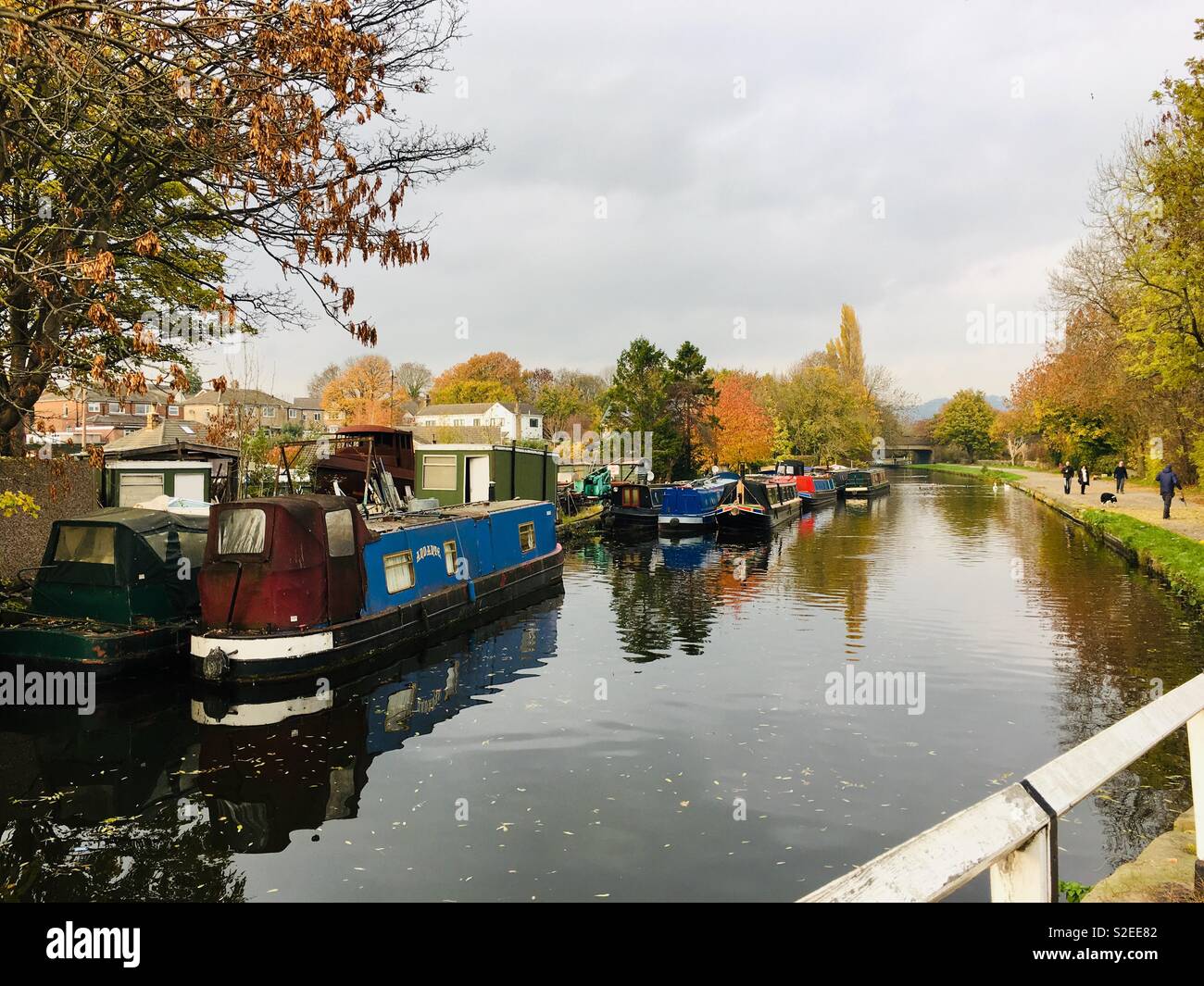 Leeds Liverpool canal in Rodley, Leeds, Yorkshire Foto Stock