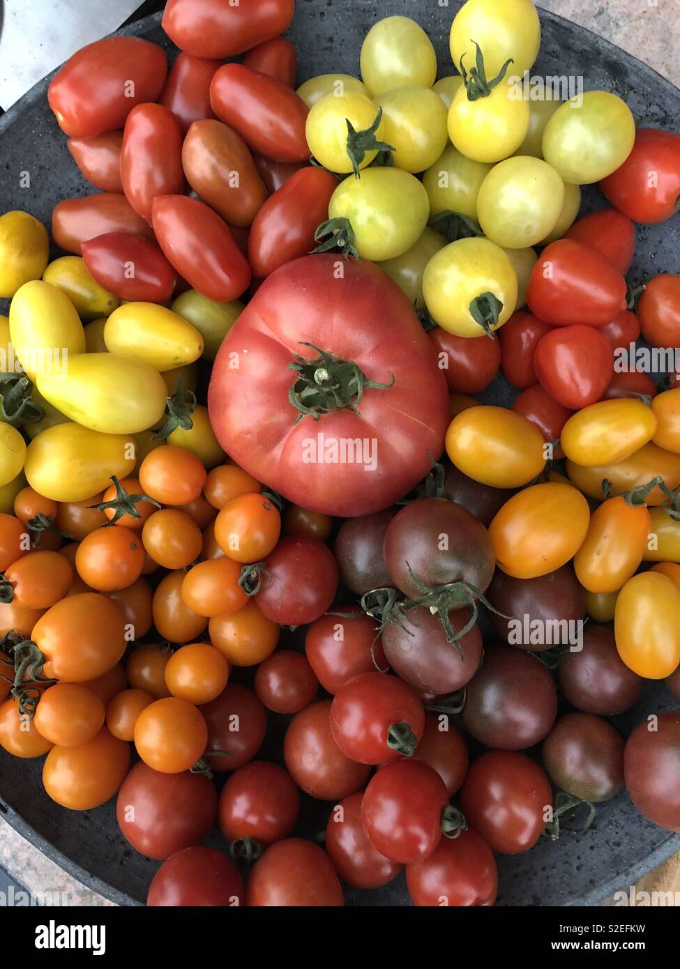 Grande ciotola di pomodori freschi tutti i colori diversi - Immagine stock catturata con smartphone