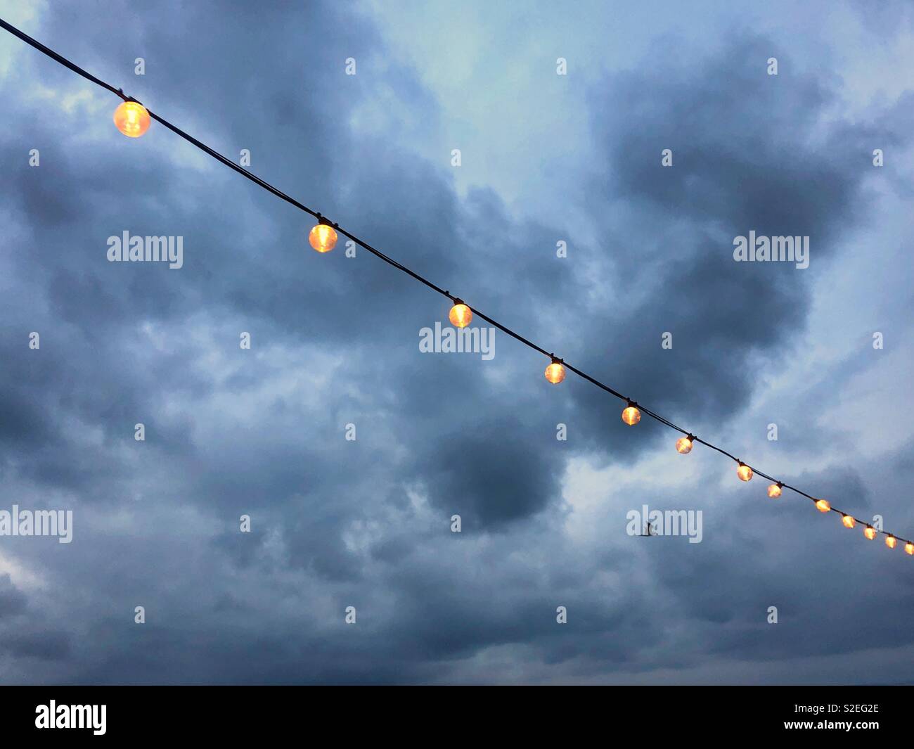 Le luci fairy contro un cielo di sera, con un stagliano passando seagull, Novembre. Foto Stock