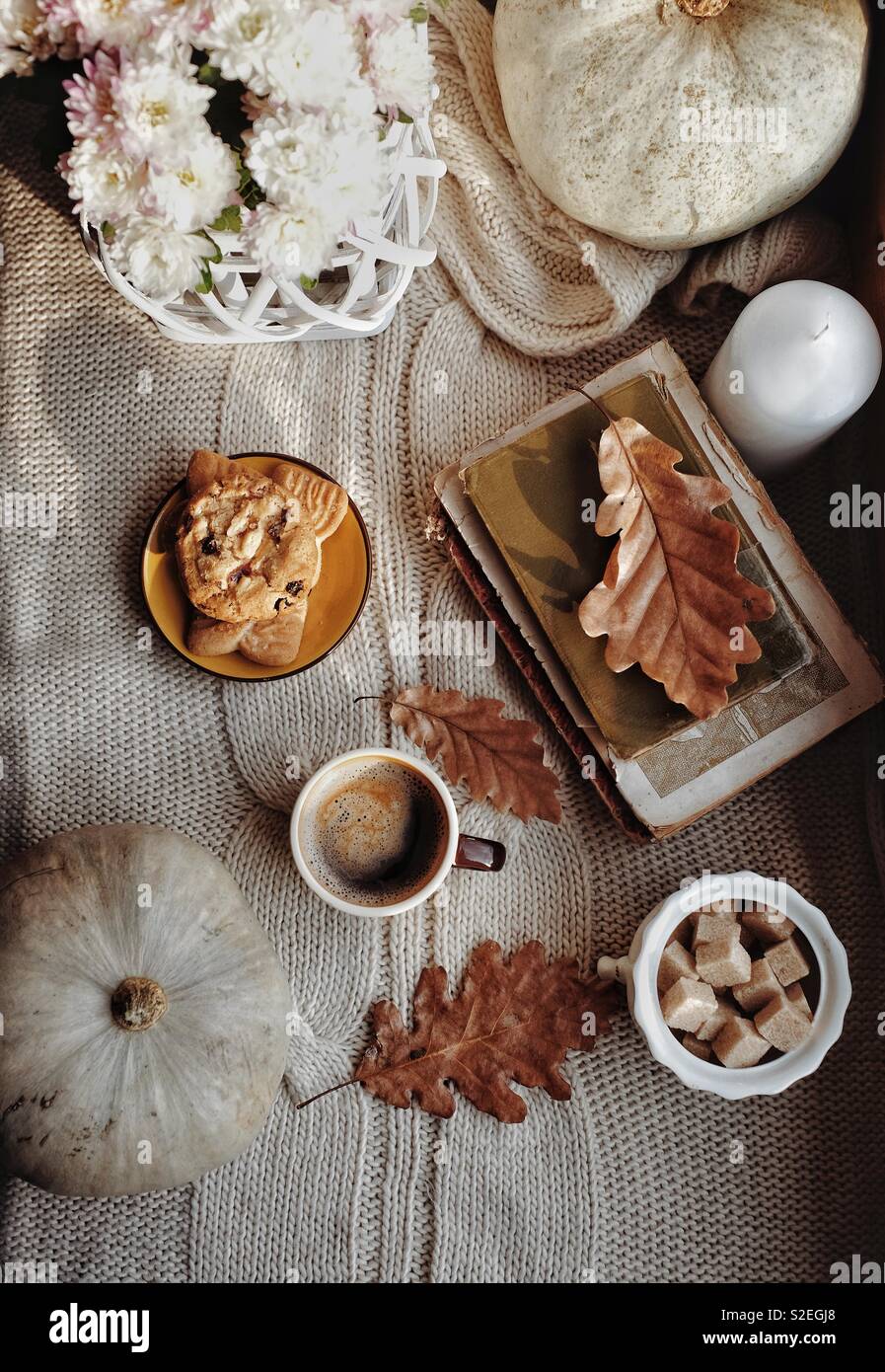 La mattina di autunno Foto Stock