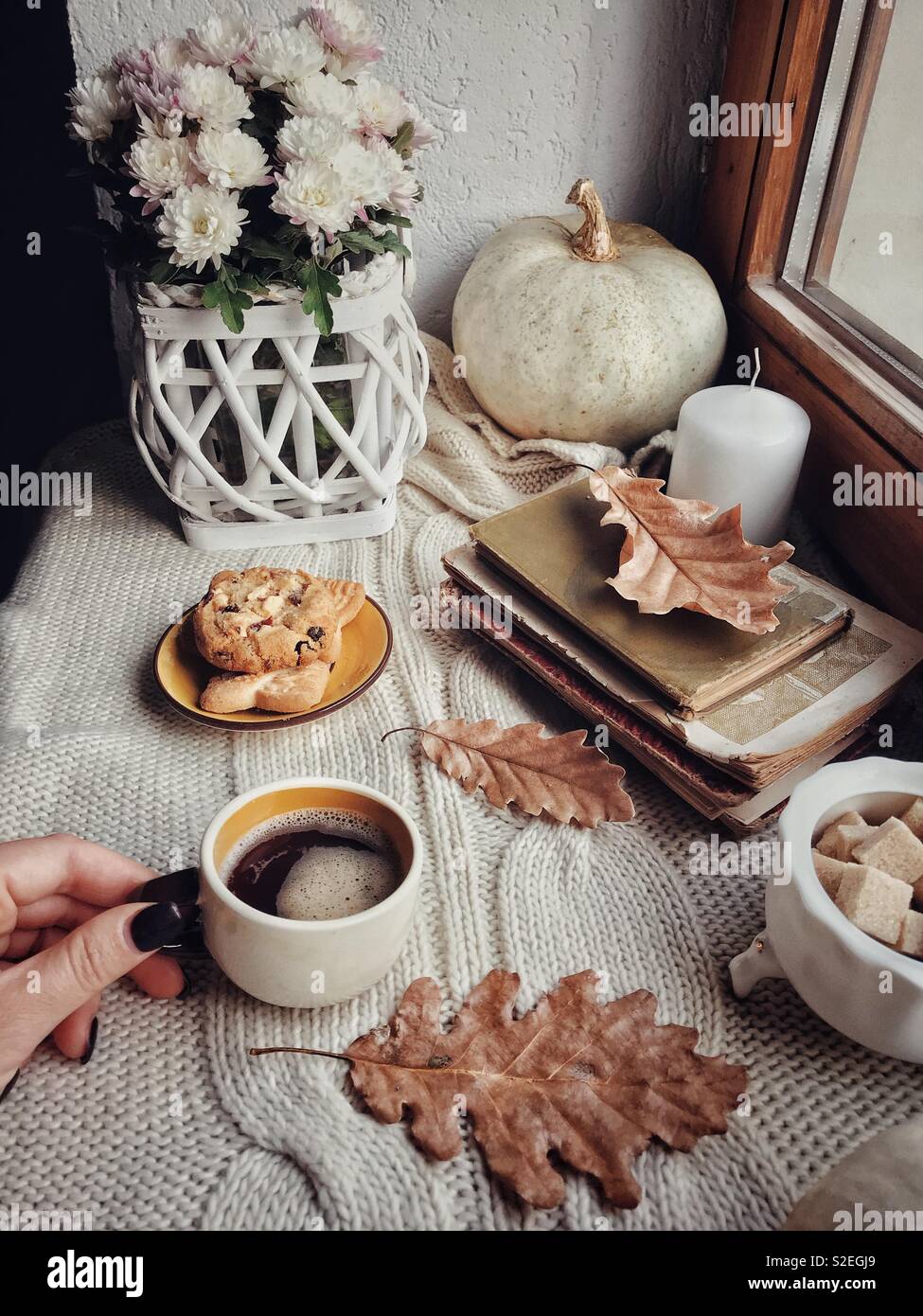 La mattina di autunno Foto Stock