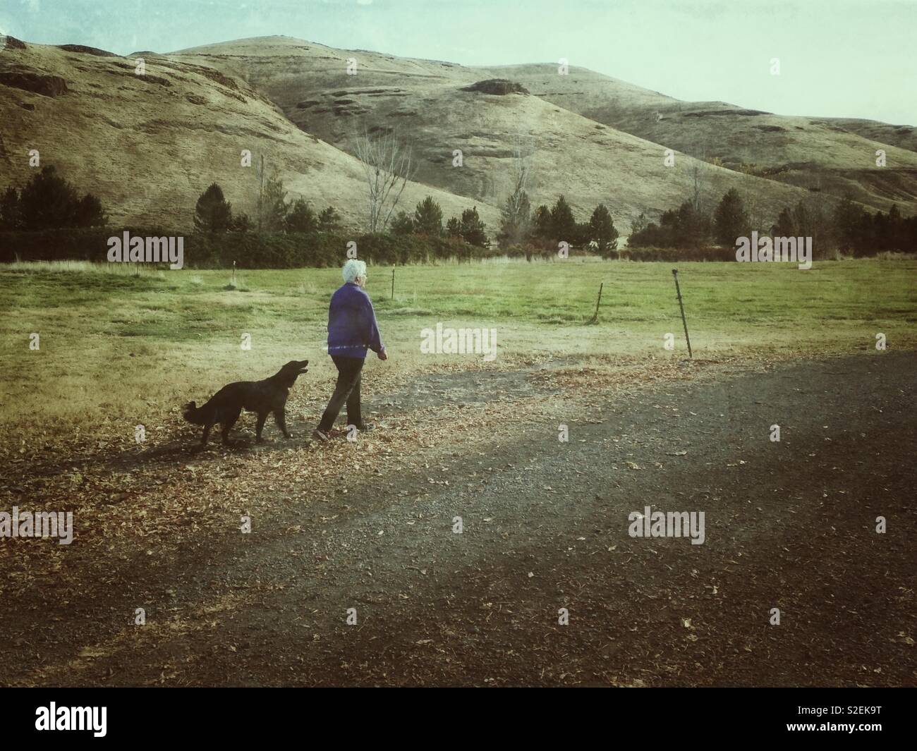 Donna di mezza età cammina nei pressi di colline con il suo cane in Eastern Washington - Immagine stock catturata con smartphone