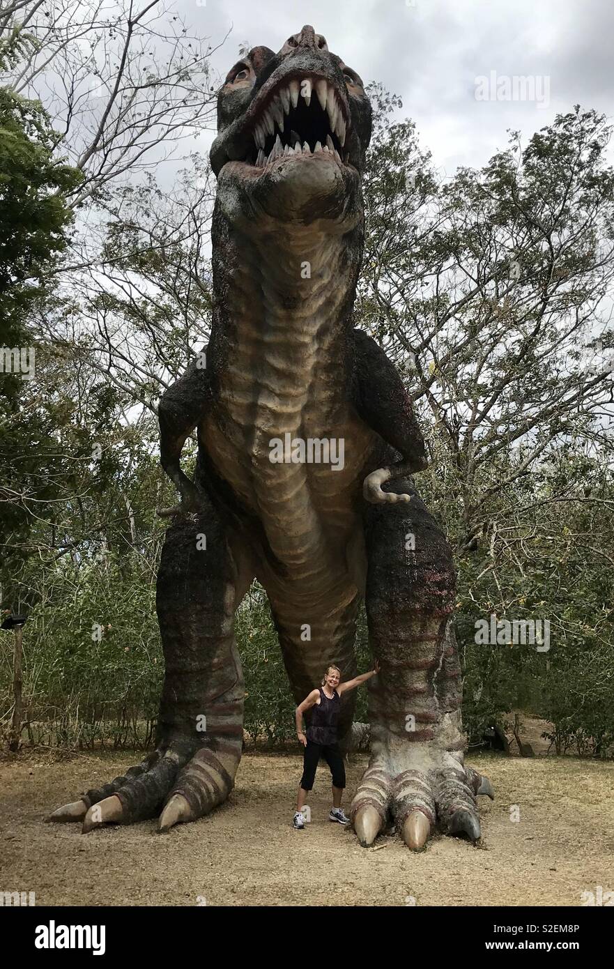 Donna con dinosauro - Immagine stock catturata con smartphone