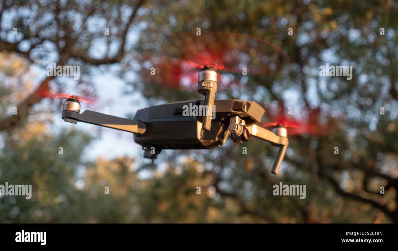 Piccolo drone in volo tra alcuni alberi in una giornata di sole Foto Stock