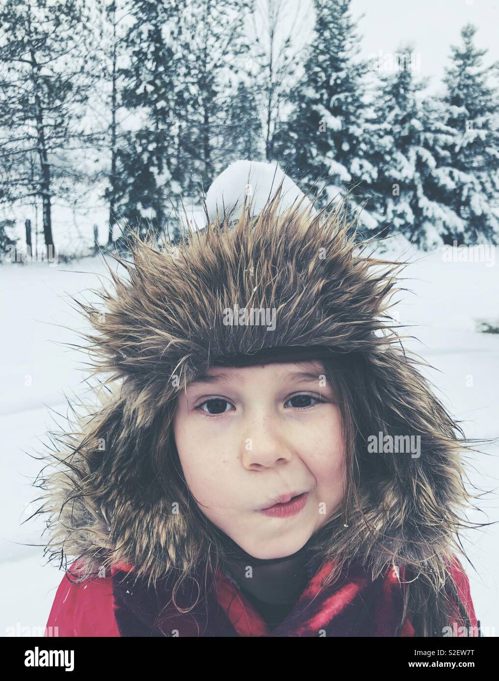 6 anno vecchia ragazza indossando un peloso trapper hat al di fuori nella neve con la palla di neve sulla testa e espressione divertente Foto Stock