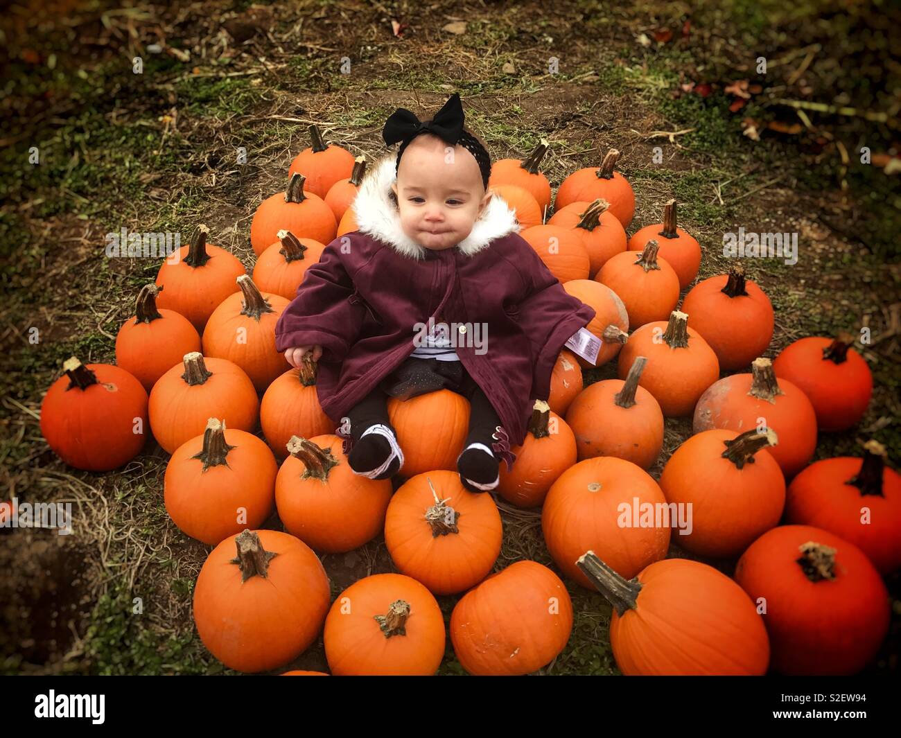 Baby sat con zucche Foto Stock