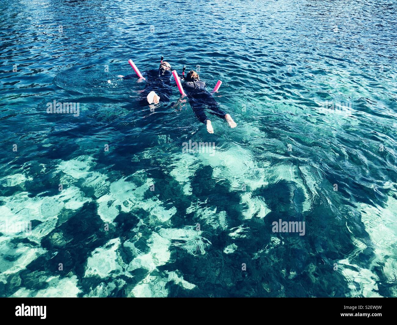 Nuotatori snorkeling in ricerca di lamantini in chiare e calde acque della Florida Foto Stock