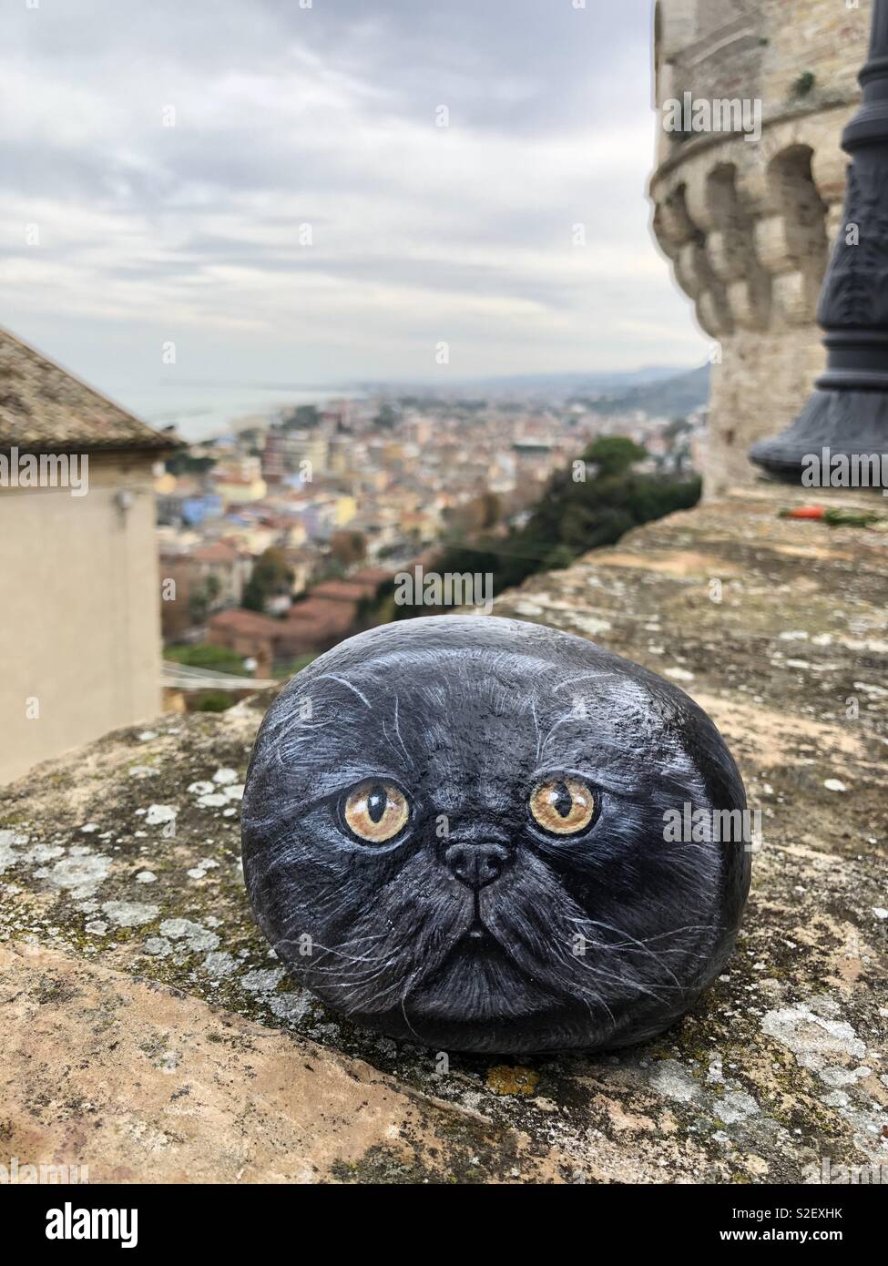 Stone cat ritratto Foto Stock