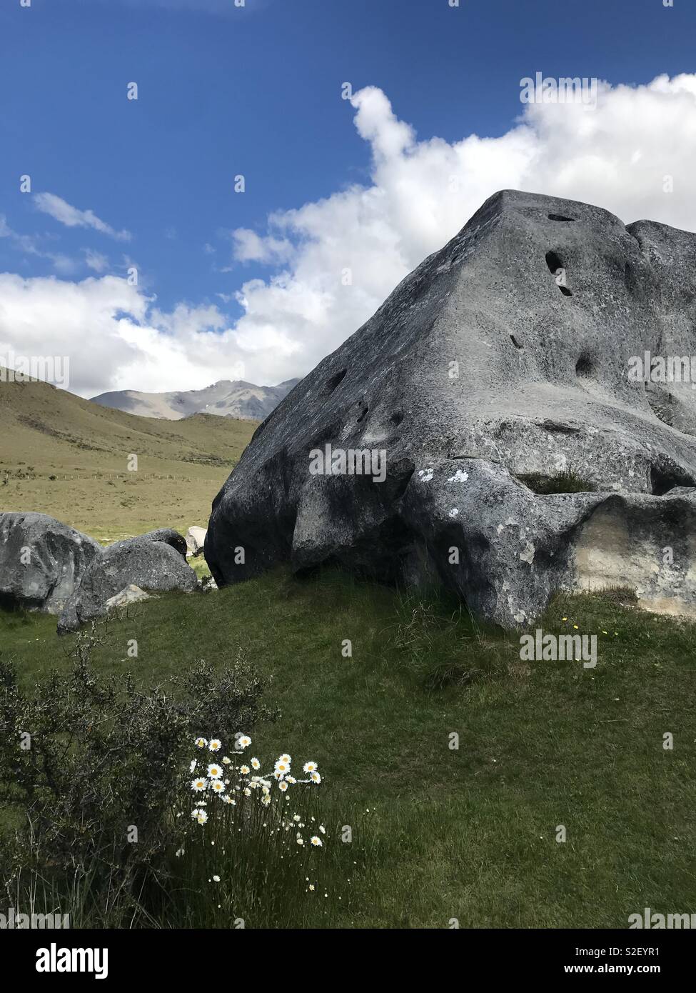 Enormi massi e un po' di margherite Foto Stock