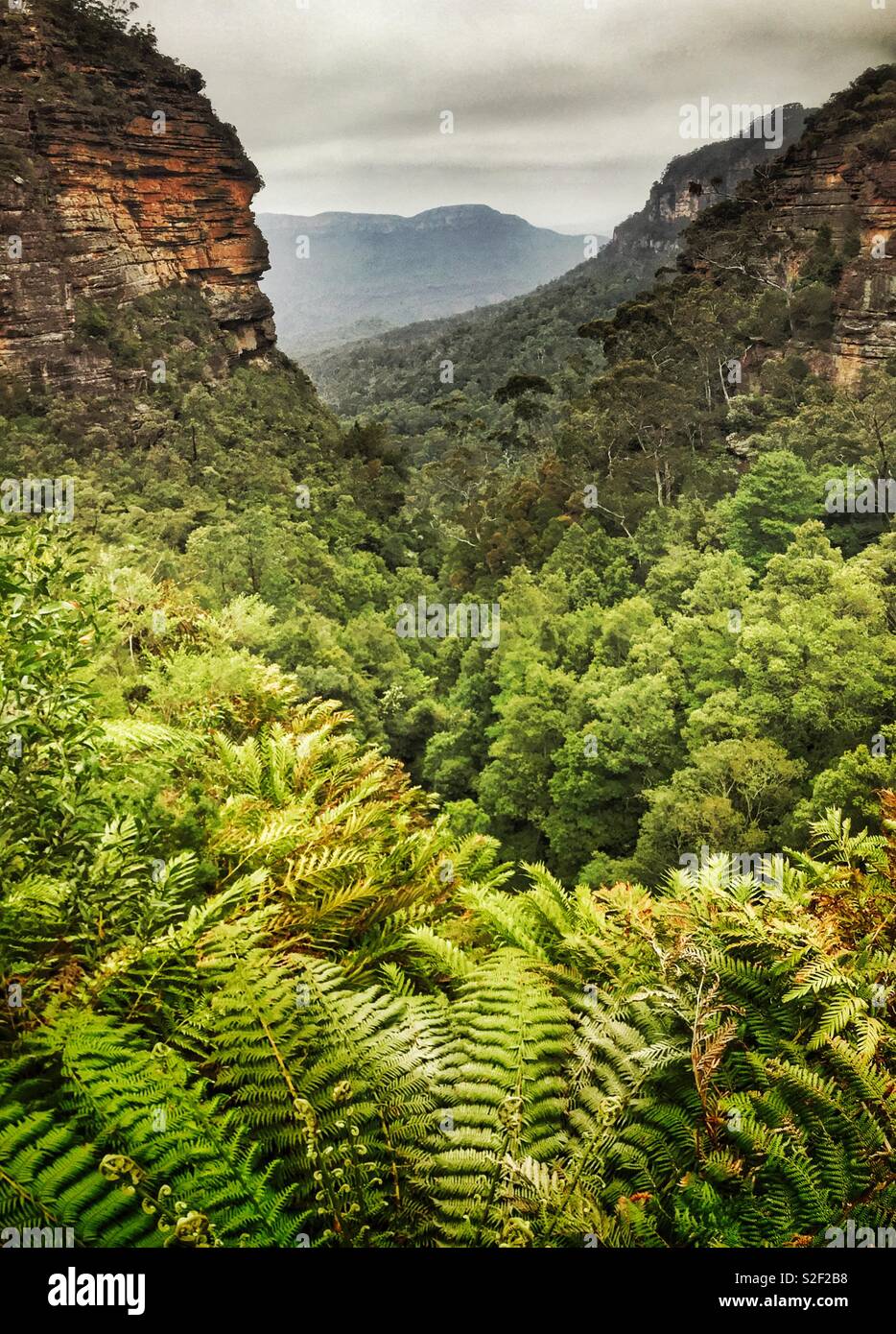 Vista dal velo nuziale Lookout giù il Federal Pass per il Monte solitario, il Parco Nazionale Blue Mountains, NSW, Australia - Immagine stock catturata con smartphone