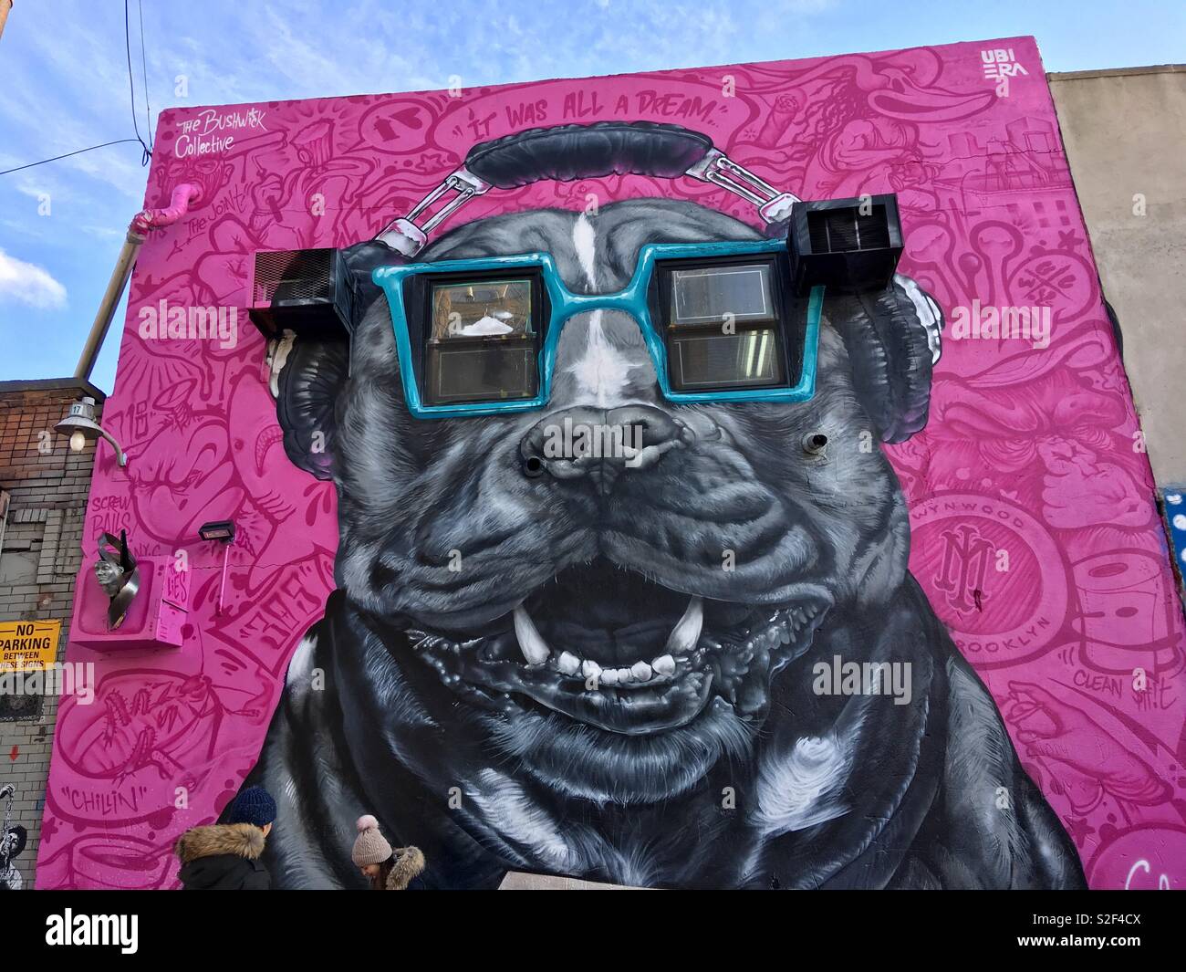 Bulldog in bicchieri, Arte di strada, Brooklyn, New York Foto Stock