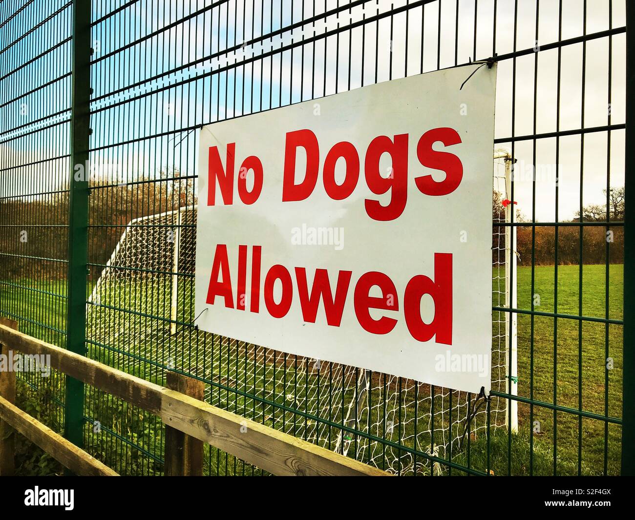 "I cani non ammessi" segno su un recinto intorno ad un campo di calcio - Immagine stock catturata con smartphone