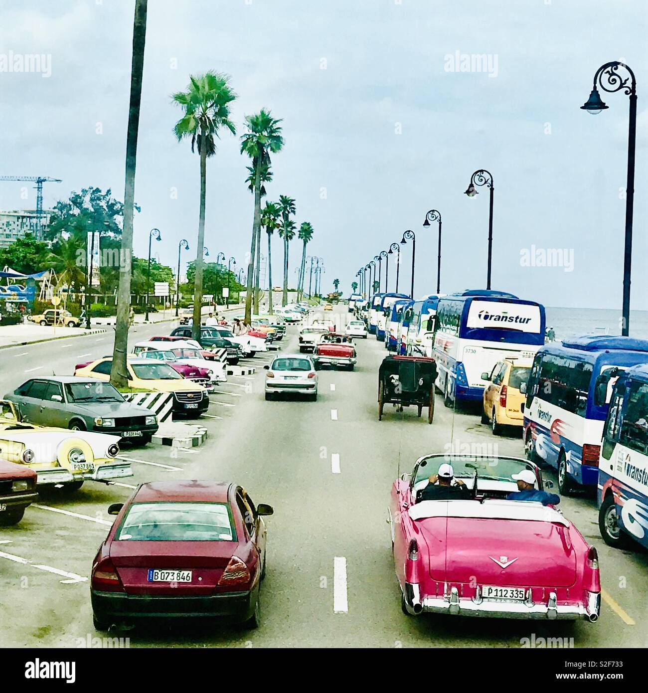 Classic Cars, carro trainato da cavalli e carrozze lungo le palme rivestite strade di Havana Cuba Foto Stock