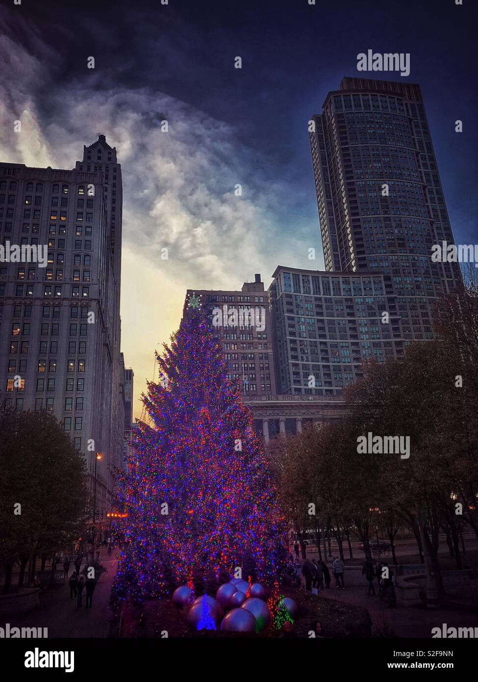 Albero di Natale nel centro cittadino di Chicago Foto Stock