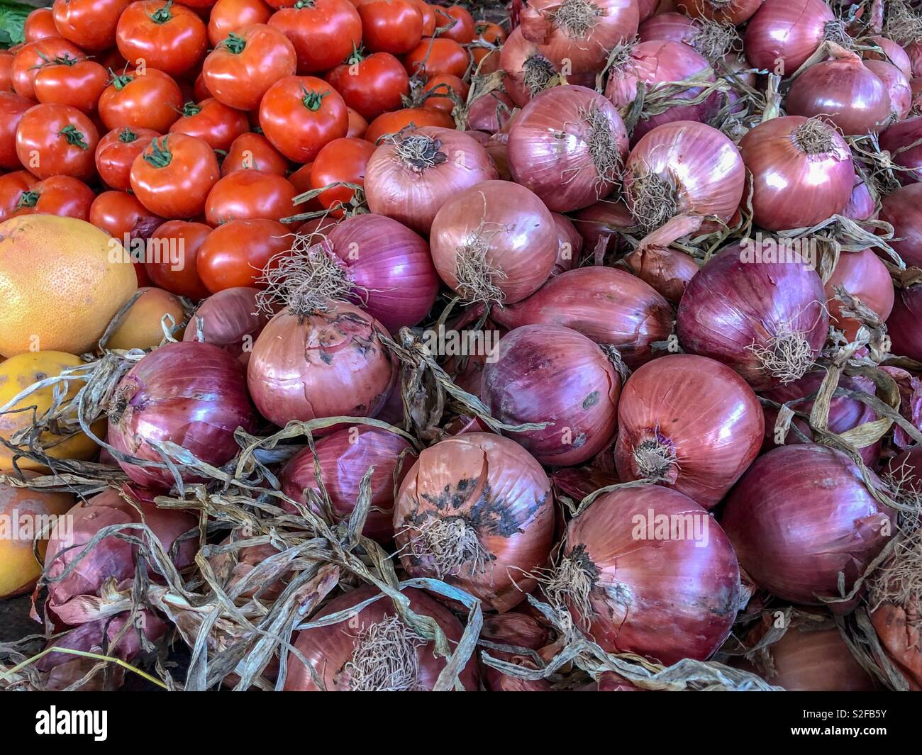 Le cipolle e i pomodori per la vendita in un souk in Agadir, Marocco, Africa - Immagine stock catturata con smartphone