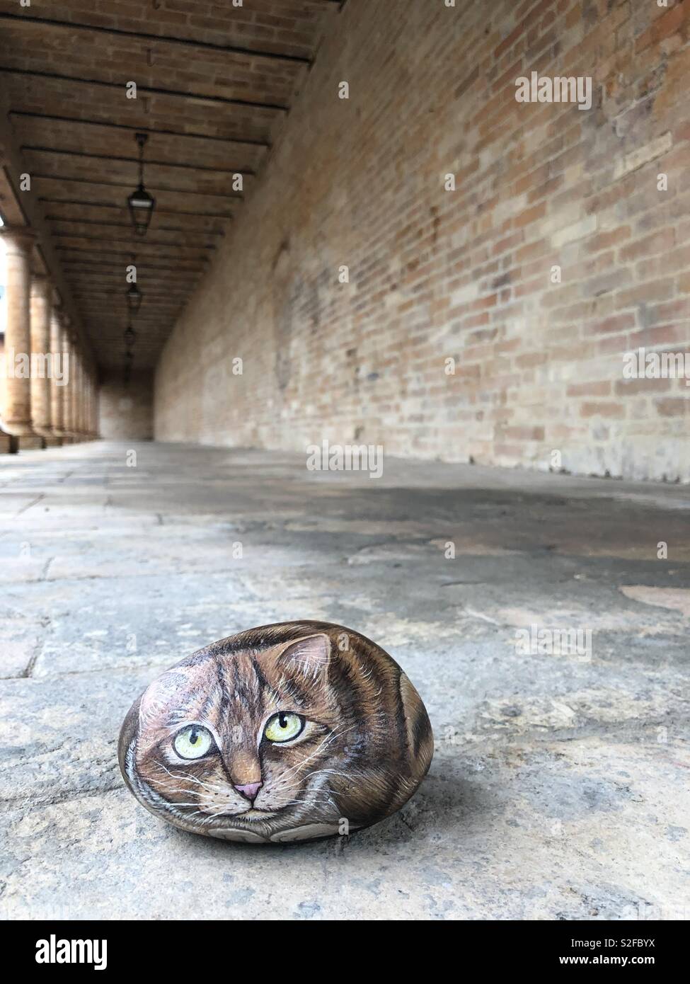 Gatto di pietra sotto la galleria aperta Foto Stock