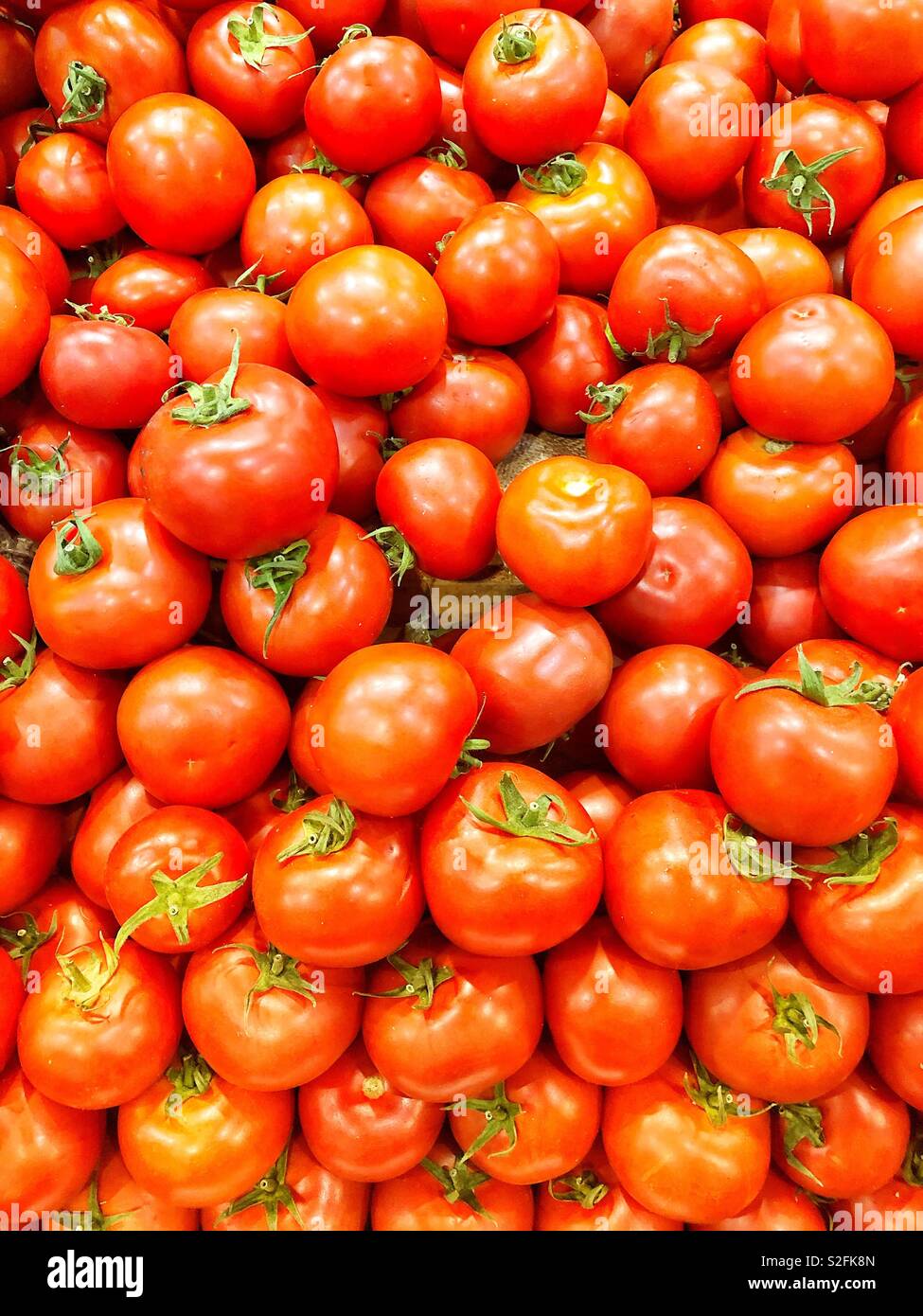 Pomodori rossi - Immagine stock catturata con smartphone