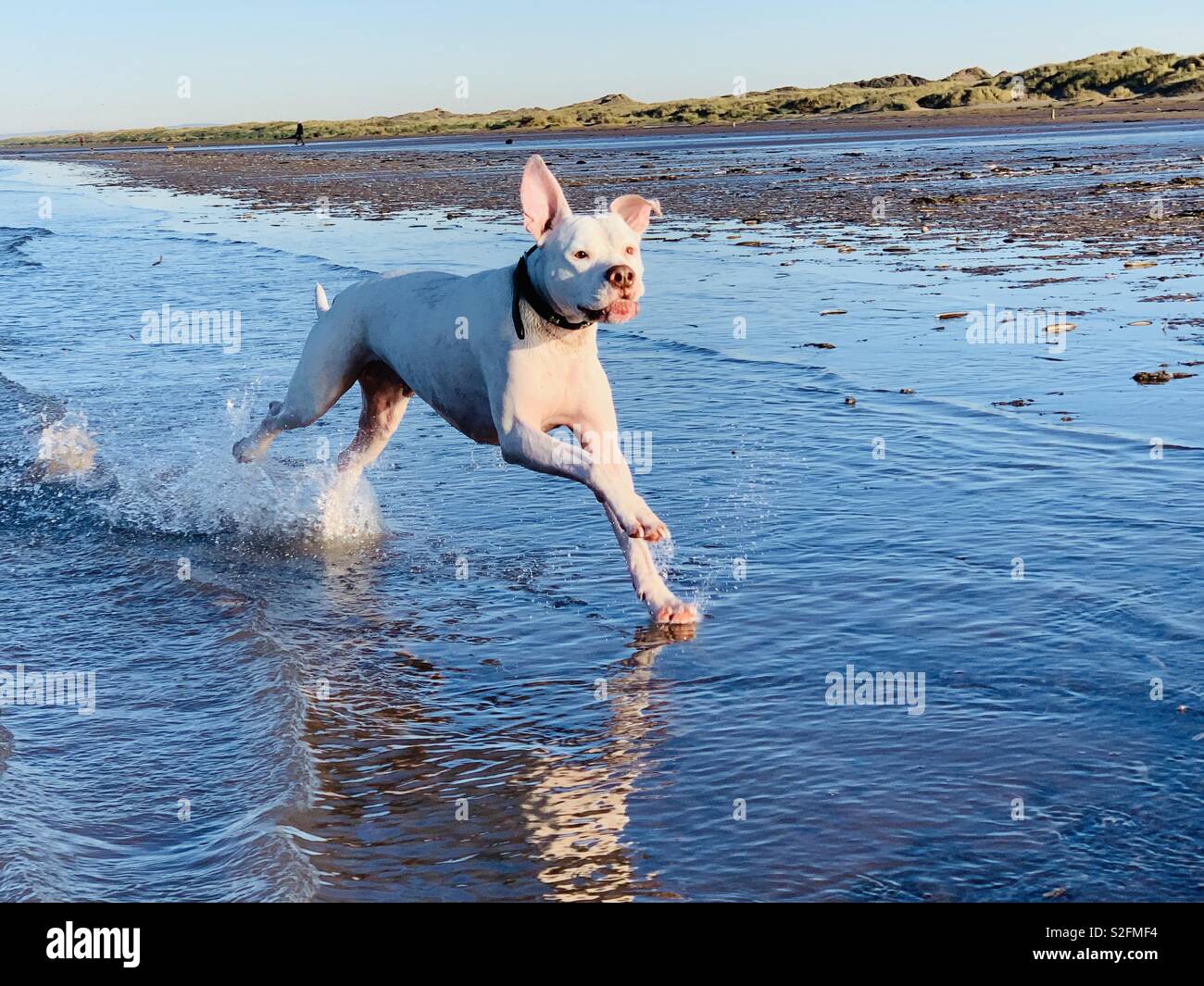 Divertimento sulla spiaggia Foto Stock