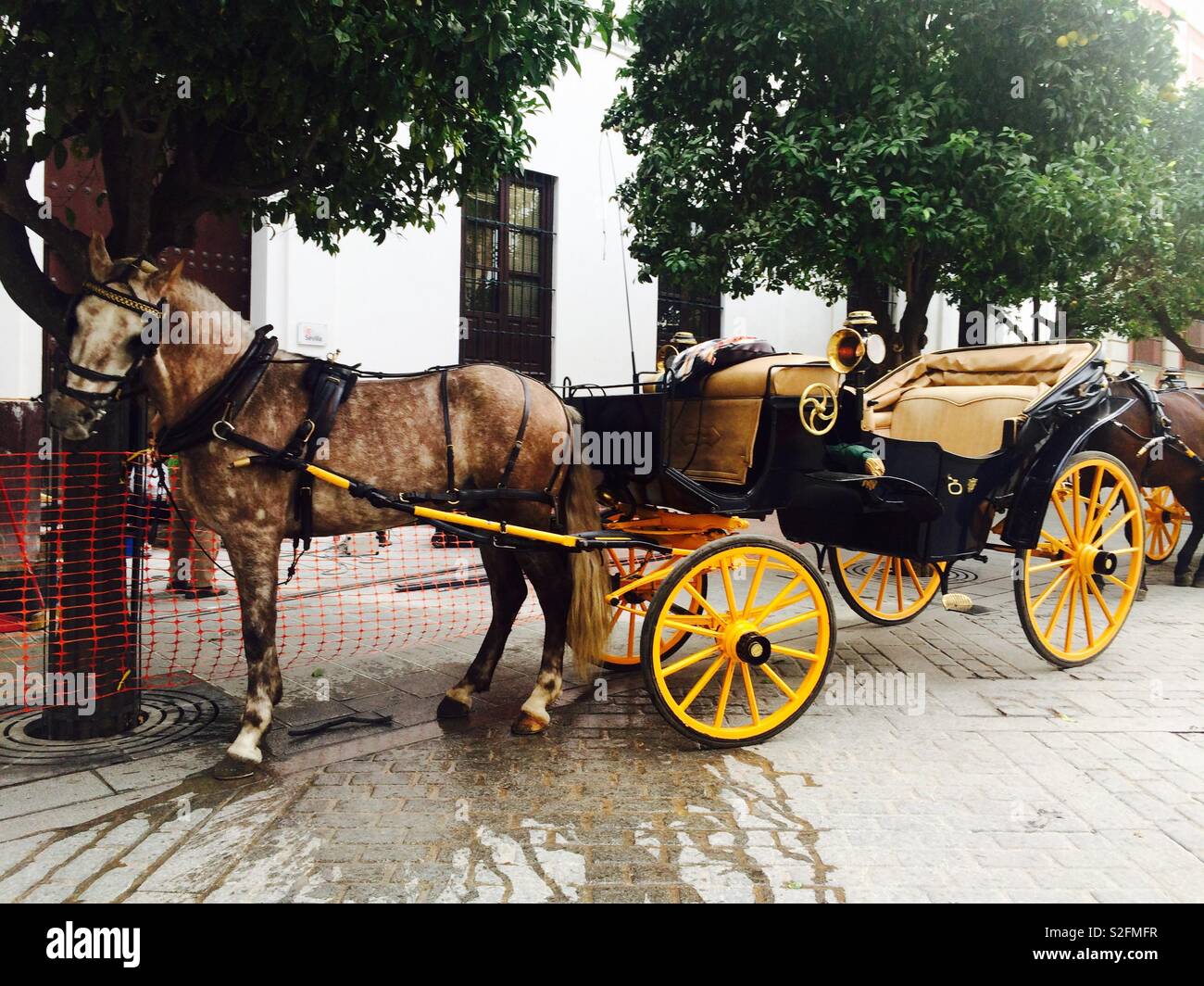 Cavallo e carrozza in attesa all'ombra di un cliente nella strada del centro di Siviglia in Spagna concetto di viaggio e turismo - Immagine stock catturata con smartphone