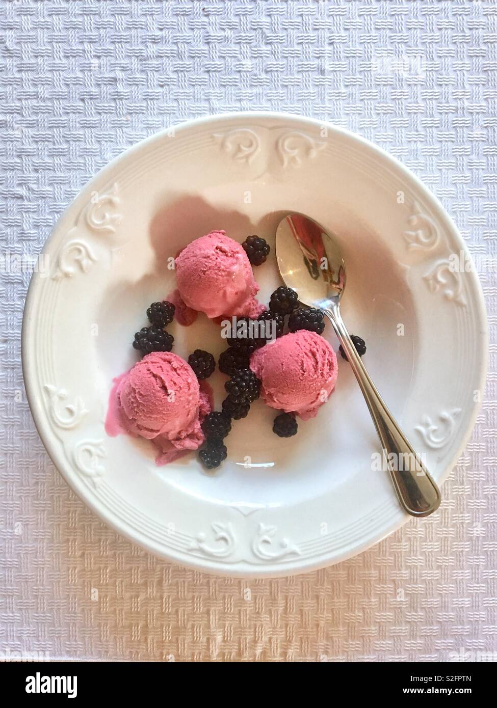 Blackberry gelato con more fresche Foto Stock