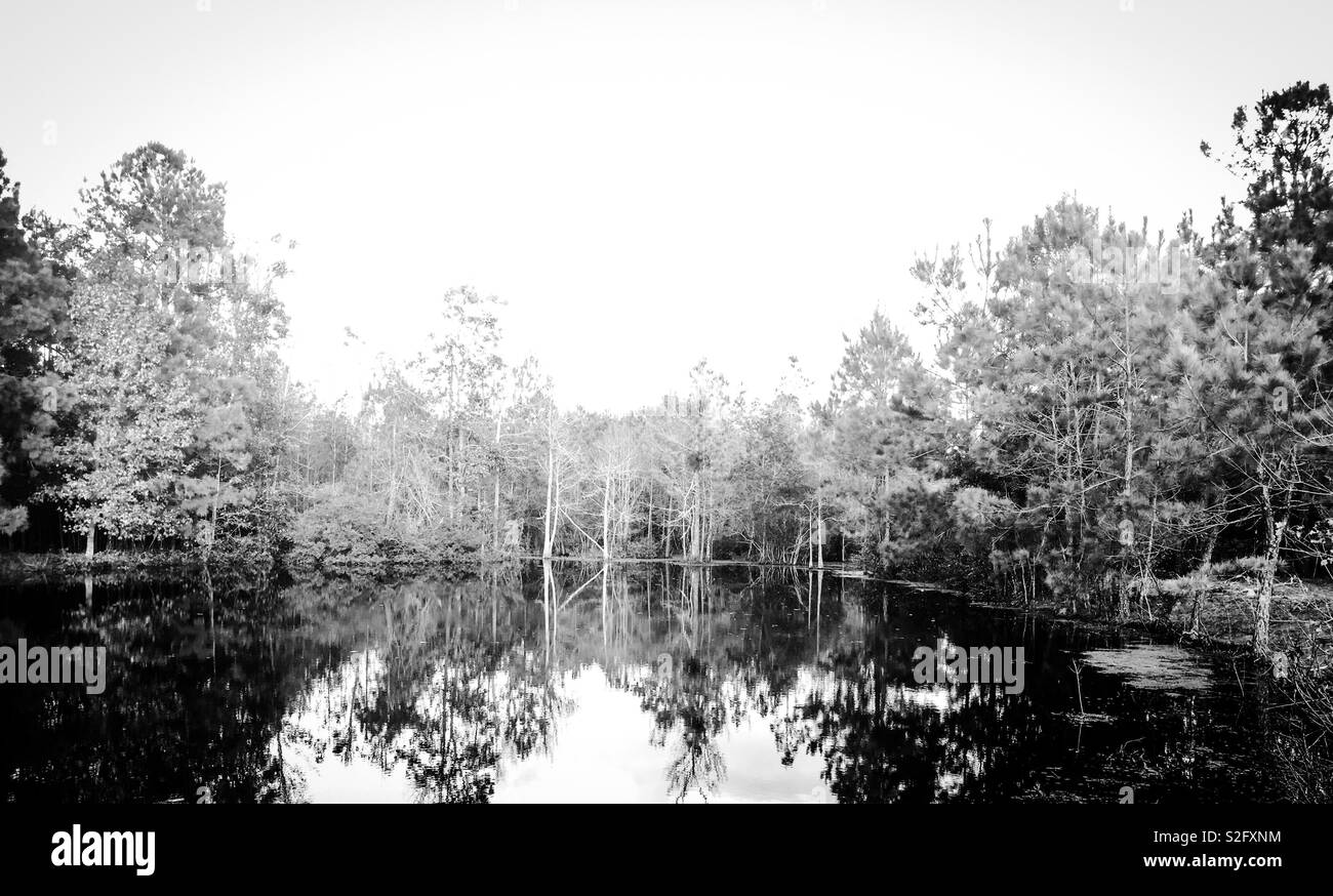 Foro di pesca in b&W Foto Stock