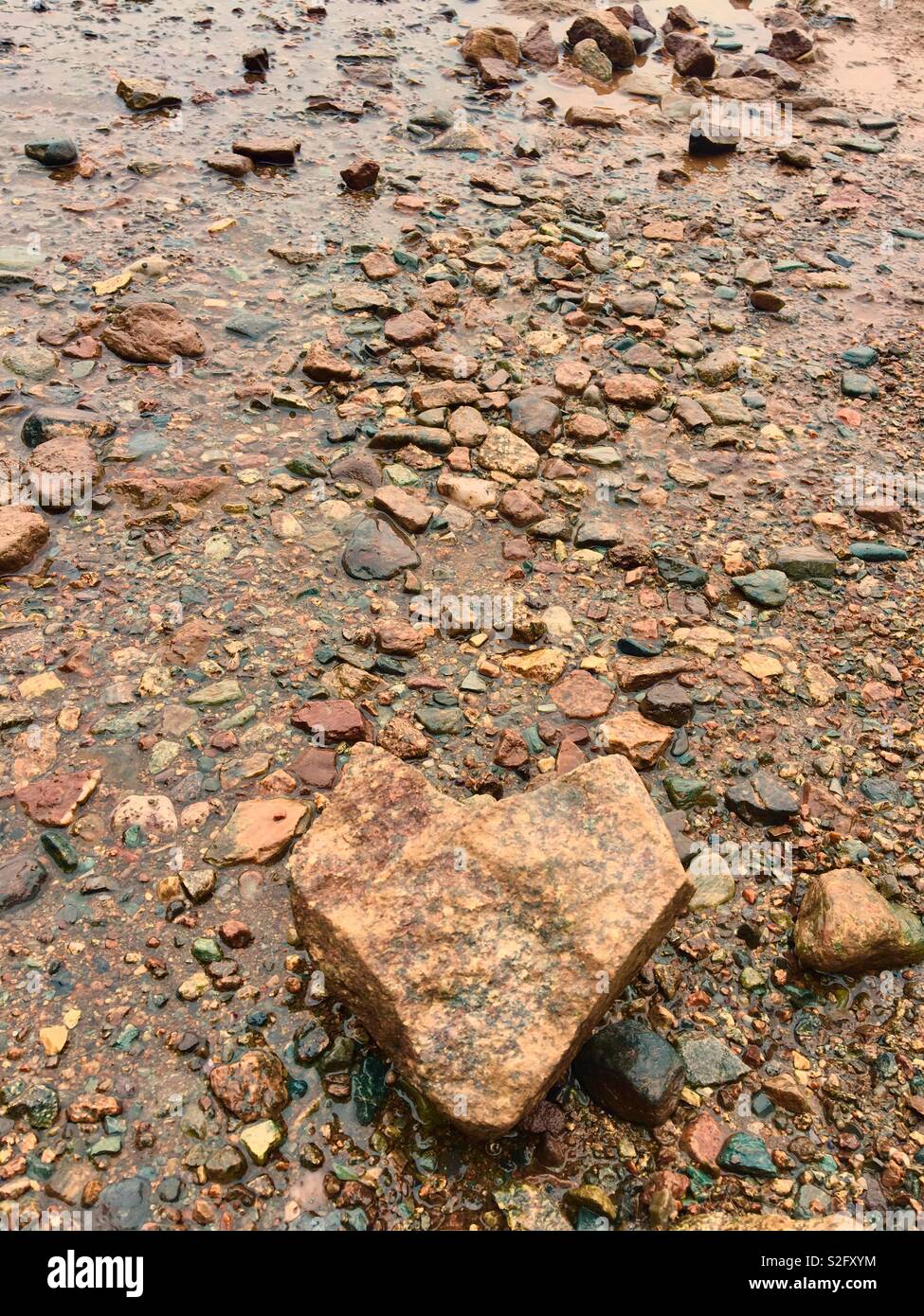 A forma di cuore ad rock durante la bassa marea a Hopewell Rocks New Brunswick Canada Foto Stock