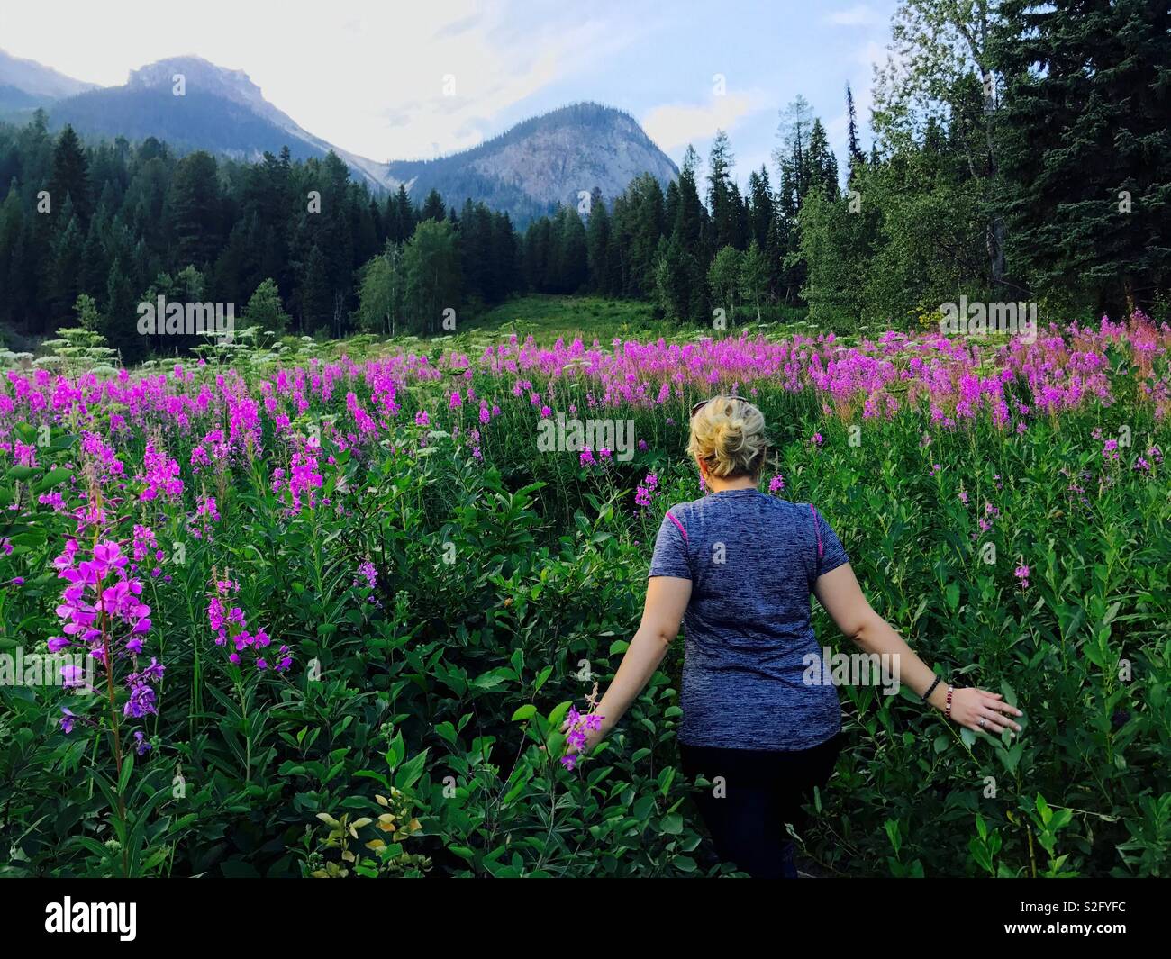 Donna che cammina attraverso i fiori godendo la vita all'aperto Foto Stock