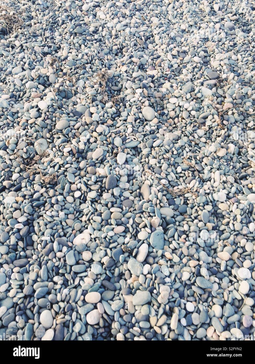 Diverse dimensioni e ciottoli colorati in un herpes zoster beach, Cemlyn Bay, Anglesey, Galles del Nord Foto Stock