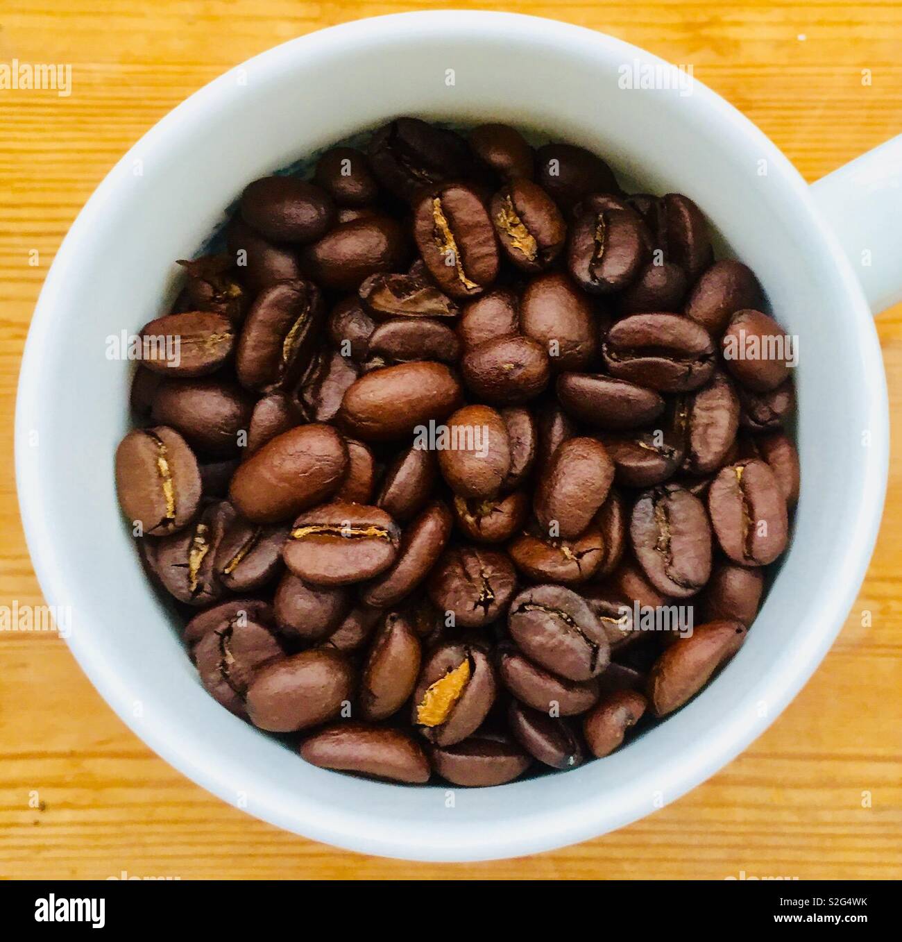 Tazza di caffè in grani Foto Stock