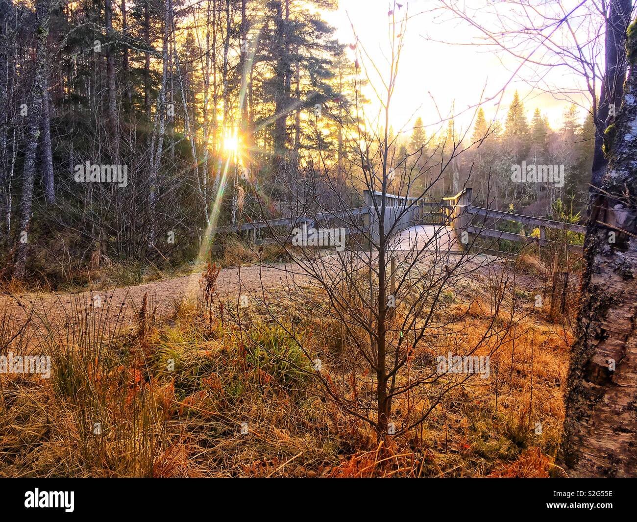 Plodda Falls viewpoint Foto Stock