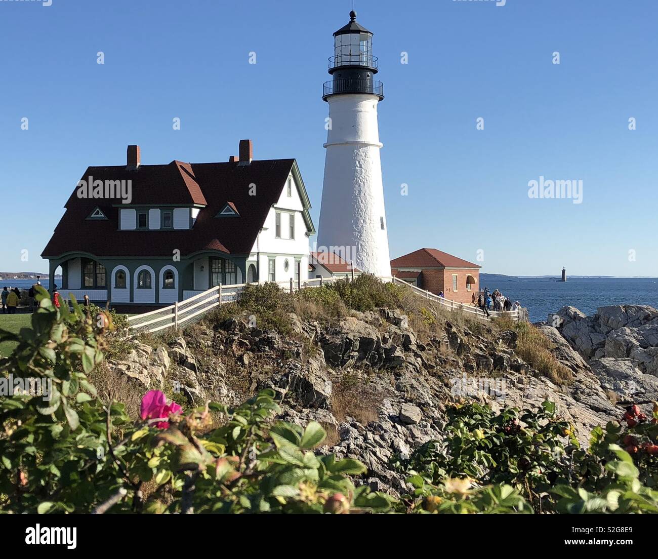 Maine faro con costa rocciosa e vegetazione Foto Stock