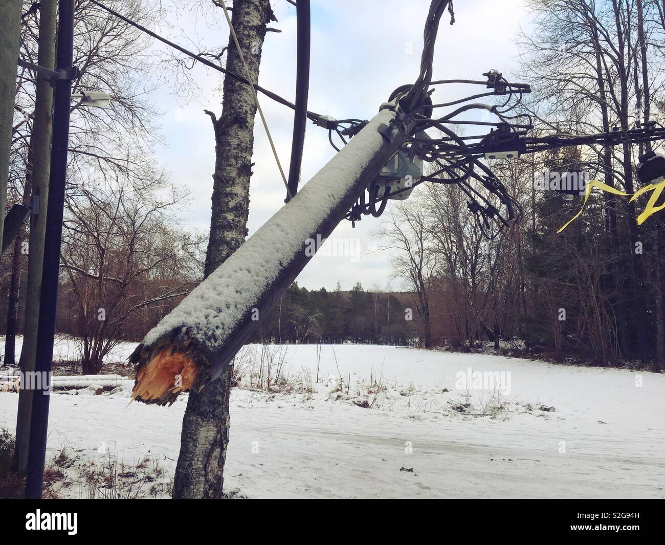 Elettricità pilone soffiata rotto dalla tempesta Alfrida nel dicembre 2018, Stoccolma, Svezia Foto Stock