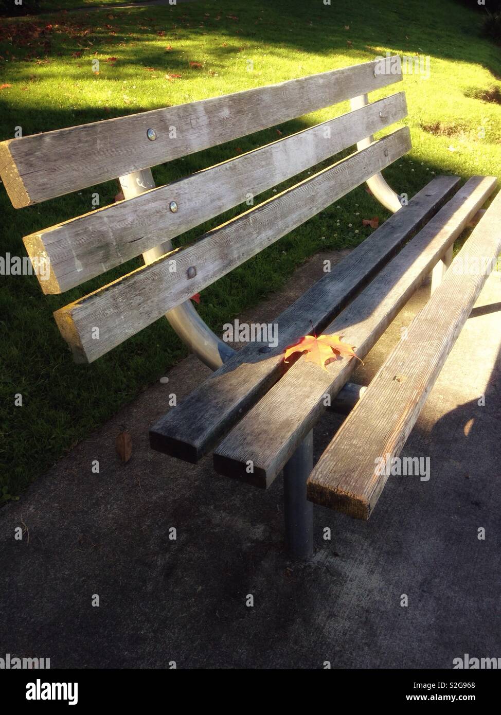 Foglia solitaria su una panchina nel parco di Seattle - Immagine stock catturata con smartphone