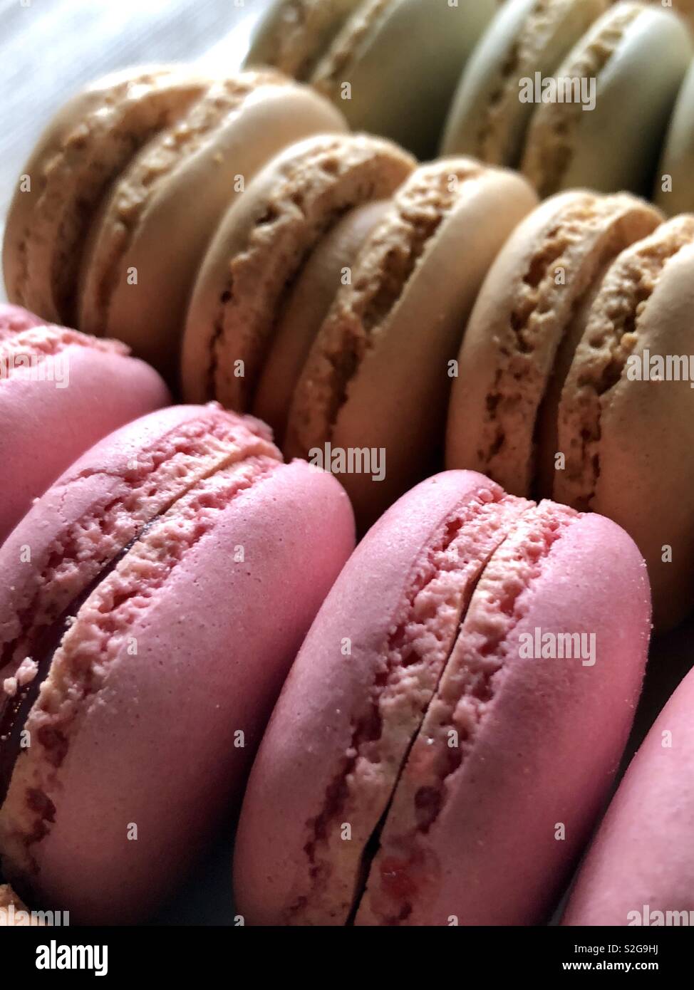 Righe del pastello macarons Foto Stock