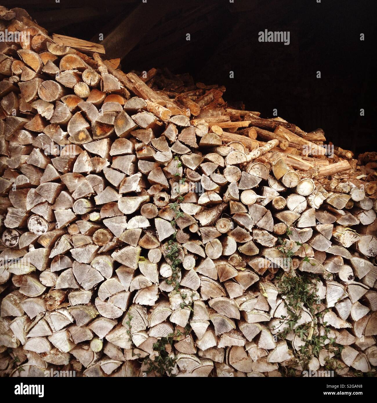 Stock di legno per l'inverno - Immagine stock catturata con smartphone