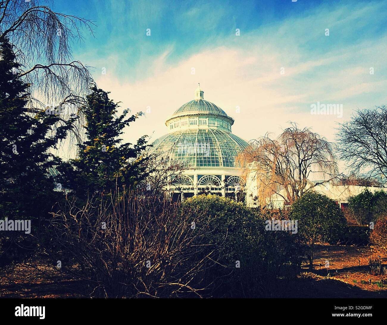 Il Enid un Haupt conservatory è un edificio principale per motivi di new York giardini botanici del Bronx, New York, Stati Uniti d'America - Immagine stock catturata con smartphone