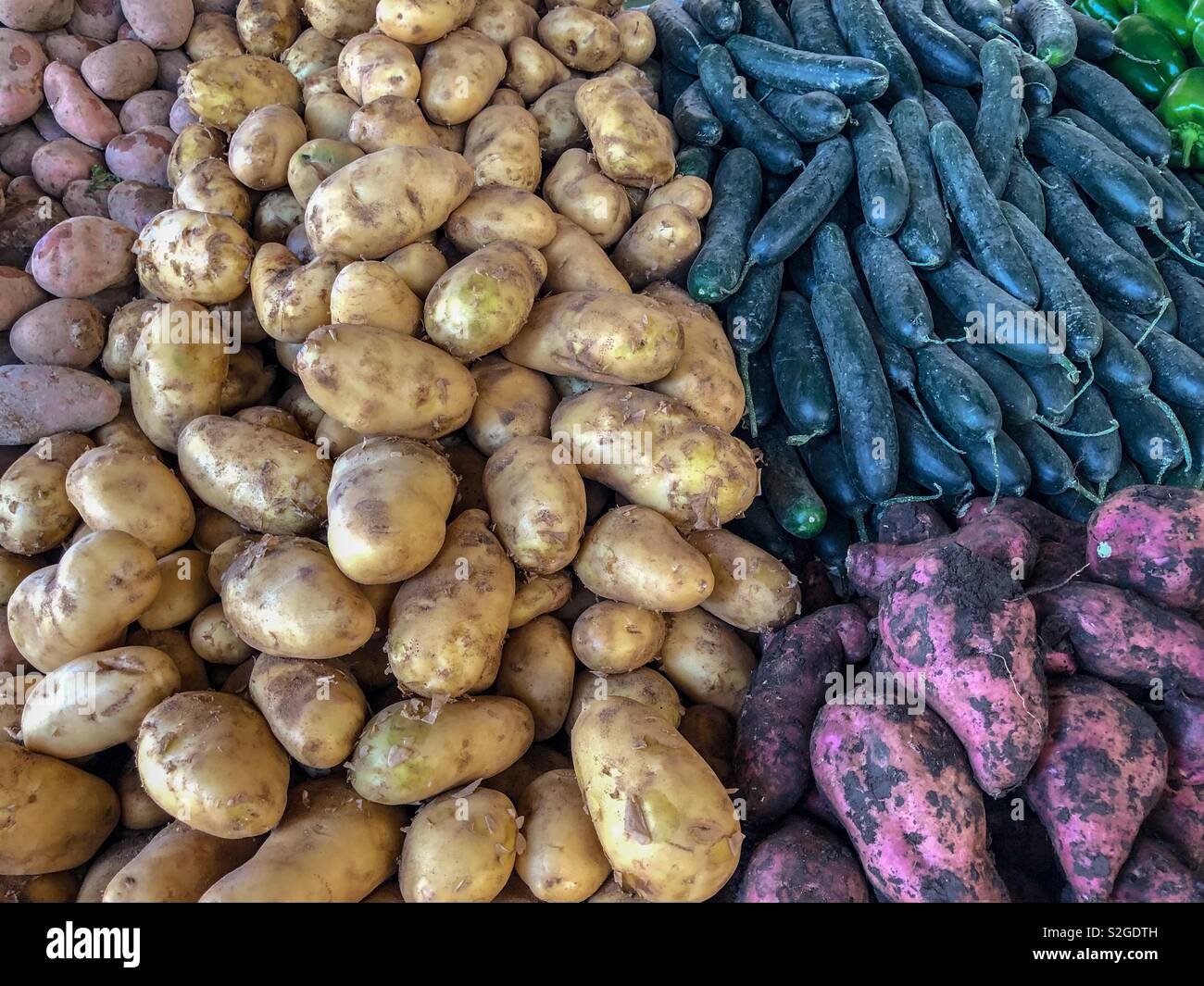 Patate e verdure macinate in vendita al souk marocchino - Immagine stock catturata con smartphone