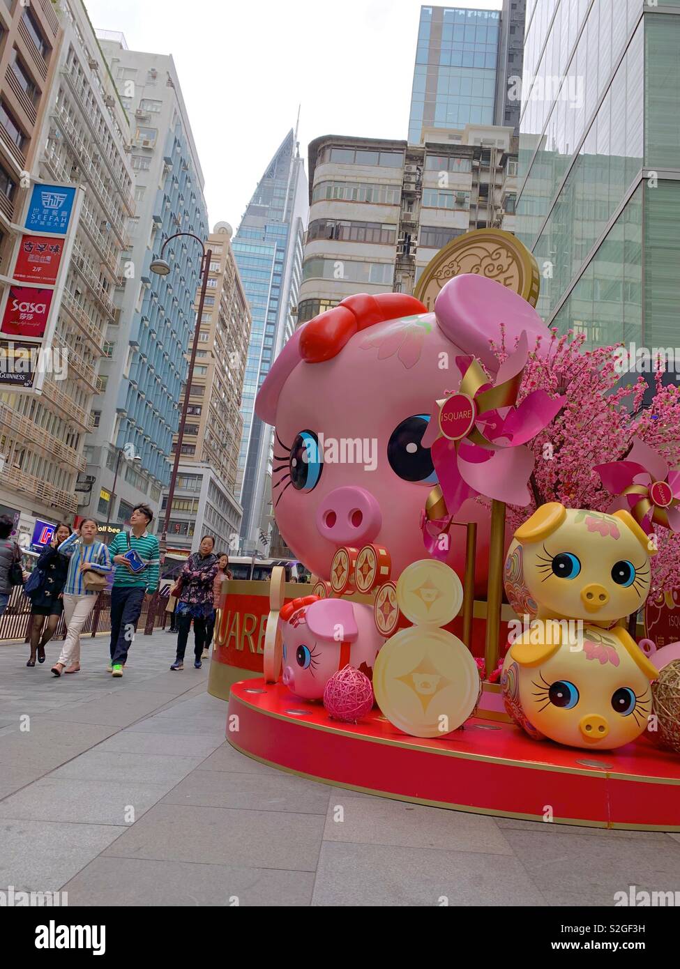 Hong Kong è pronta per l'anno di maiale, Capodanno cinese. Foto Stock