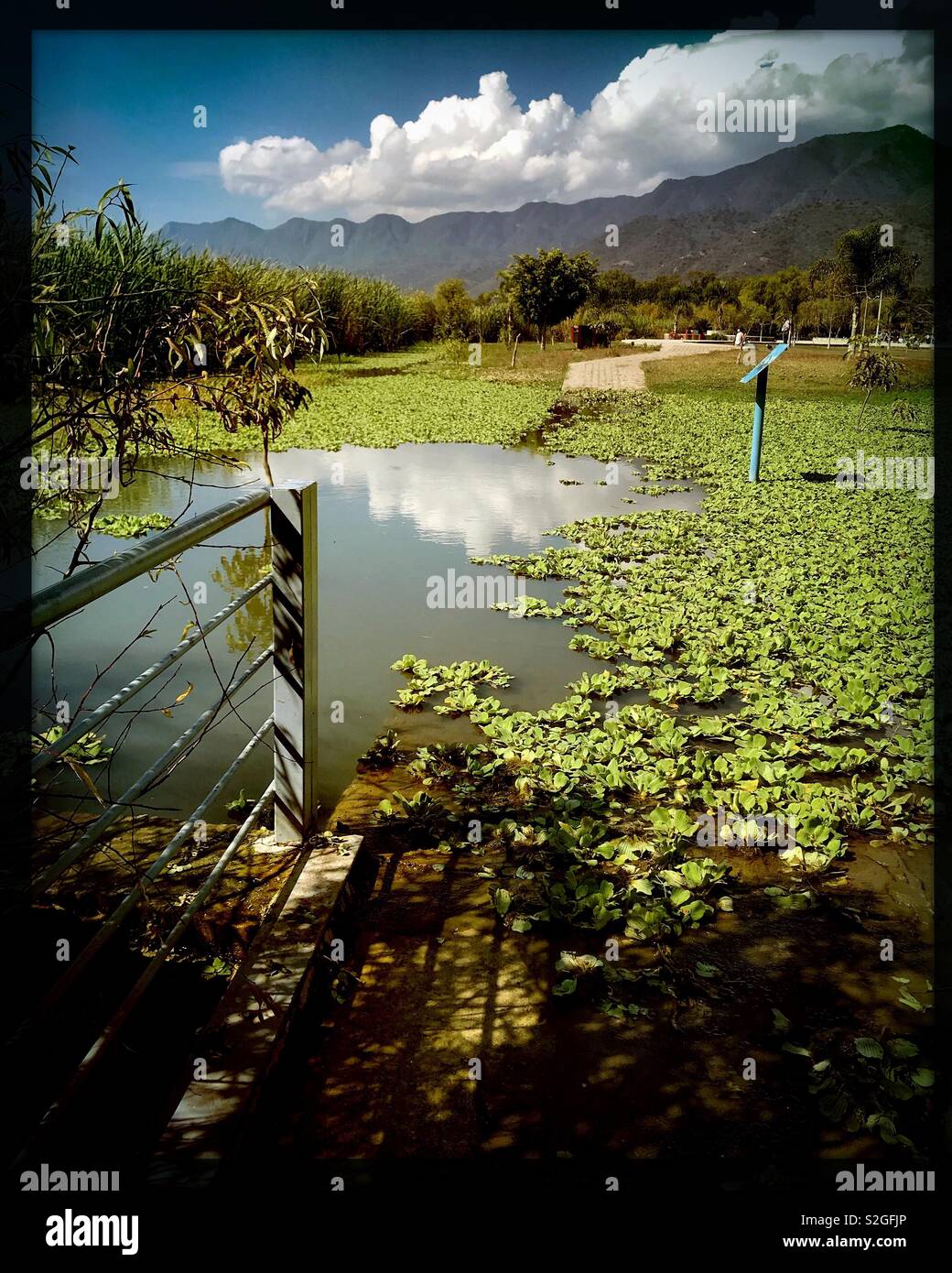 Il livello delle acque del lago Chapala è più alto di quello che è stato negli anni e ora copre parte del lungomare di un percorso a piedi a San Antonio Tlayacapan vicino Ajijic. Foto Stock