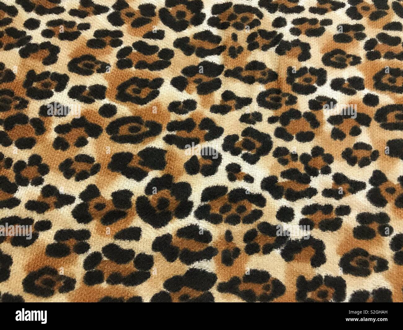 Leopard Tessuto di stampa Foto Stock