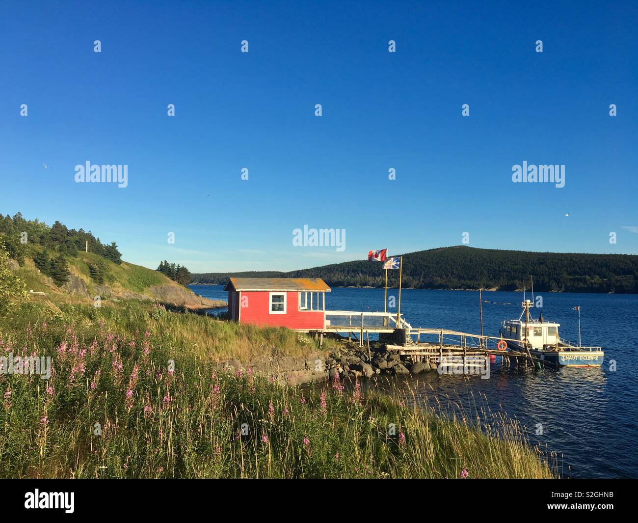 Boatshed con pontile e in barca nelle acque di Terranova in Canada - Immagine stock catturata con smartphone