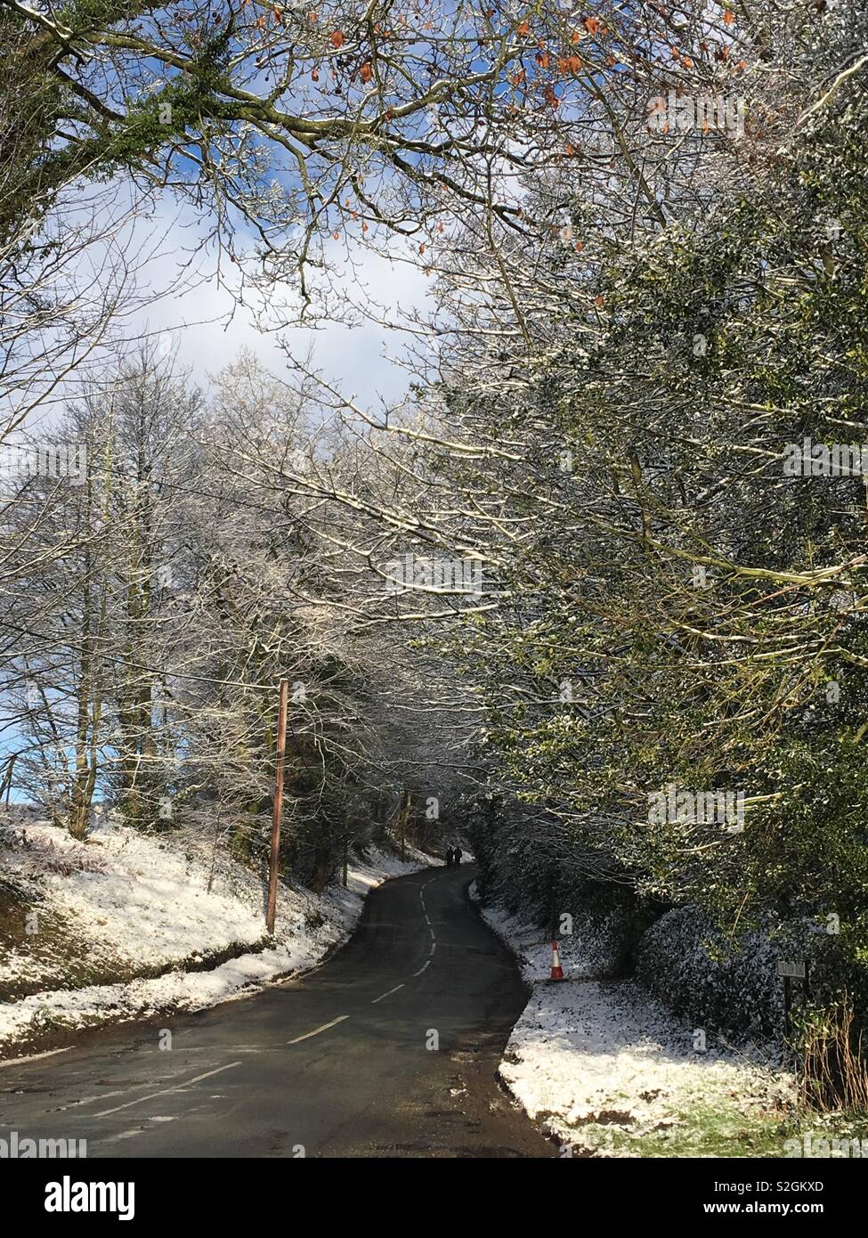 Strada di campagna in inverno Foto Stock
