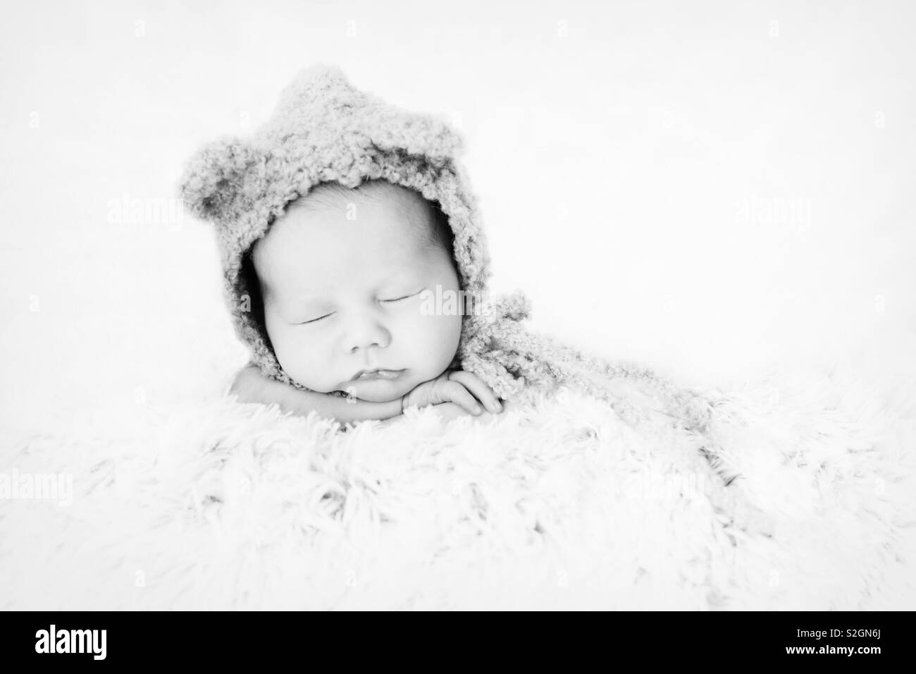 Baby orso Foto Stock