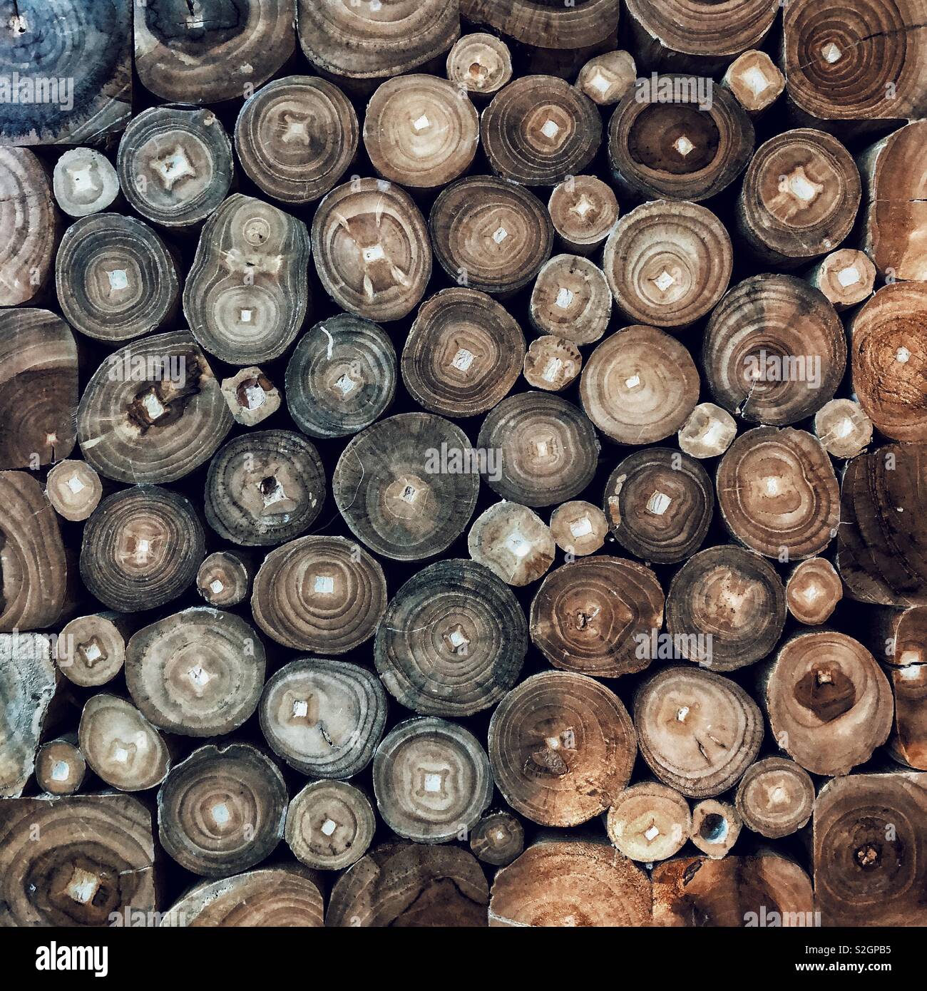 Piano tavolo realizzato da tagliare rami - Immagine stock catturata con smartphone